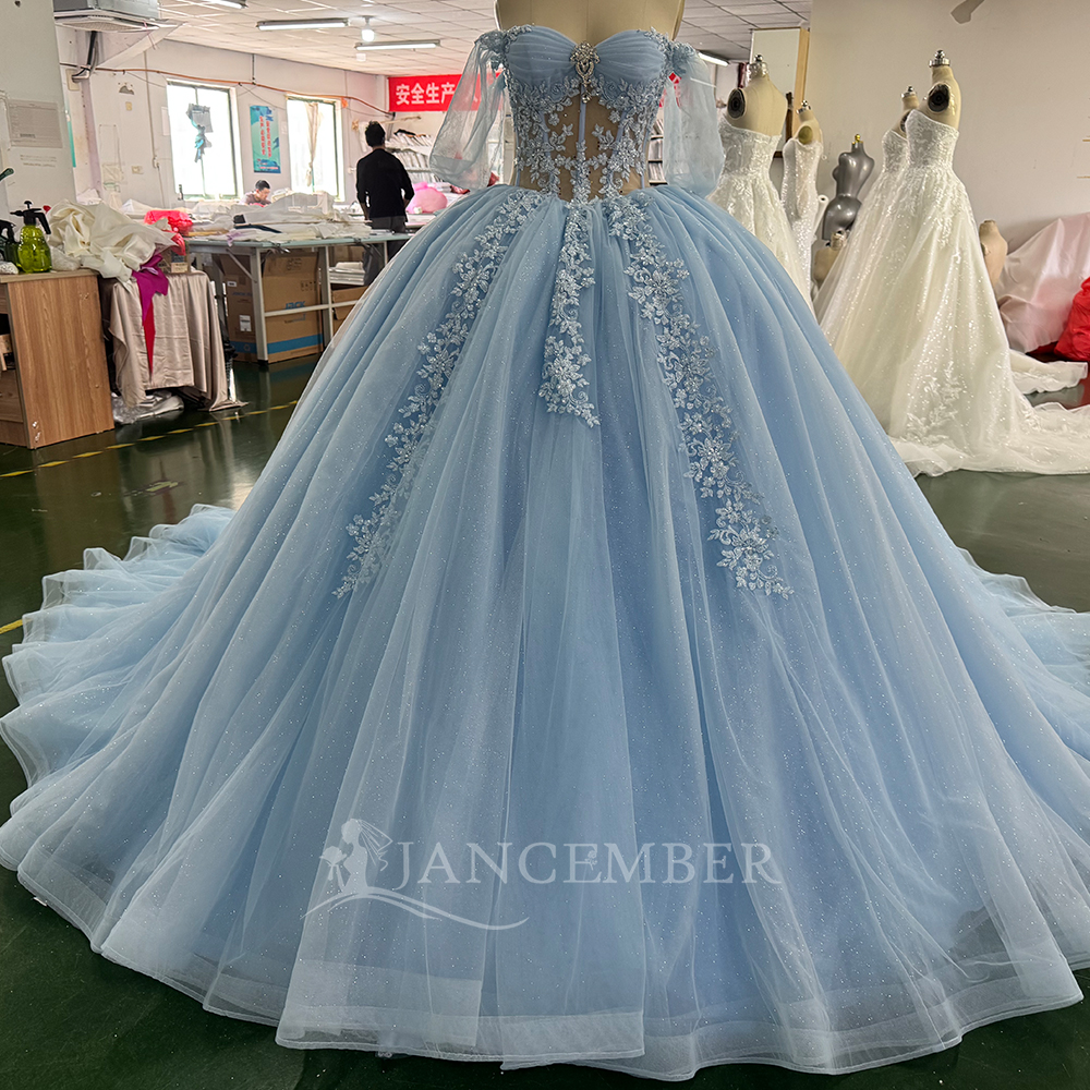 Embroidery Organza - Blue Princess Ball Gown Quinceanera Dresses