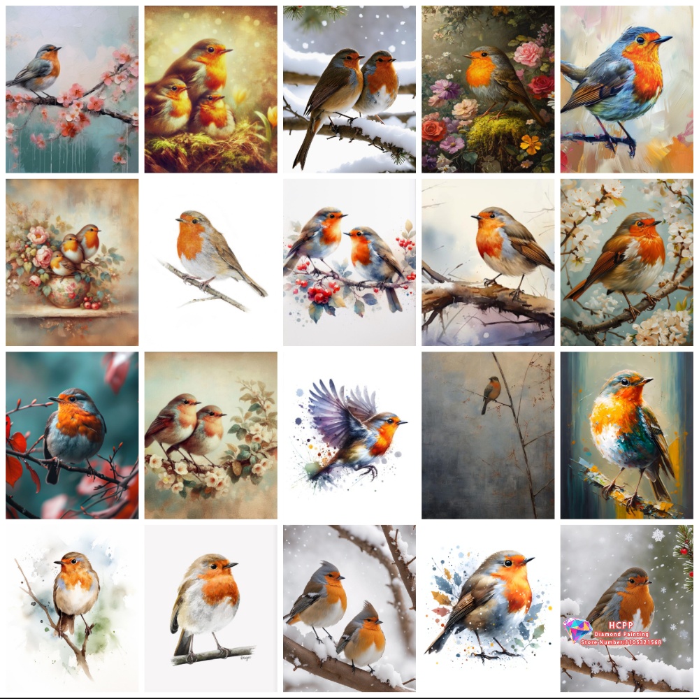 Embroidery Kit Set - unframe Robin Bird Cute Robin Cartoon