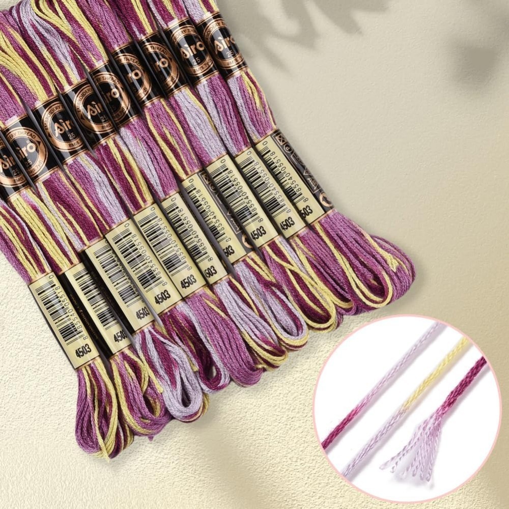 6 Strands Purple Variegated Em – Embroidery Thread Bewertung und Preis