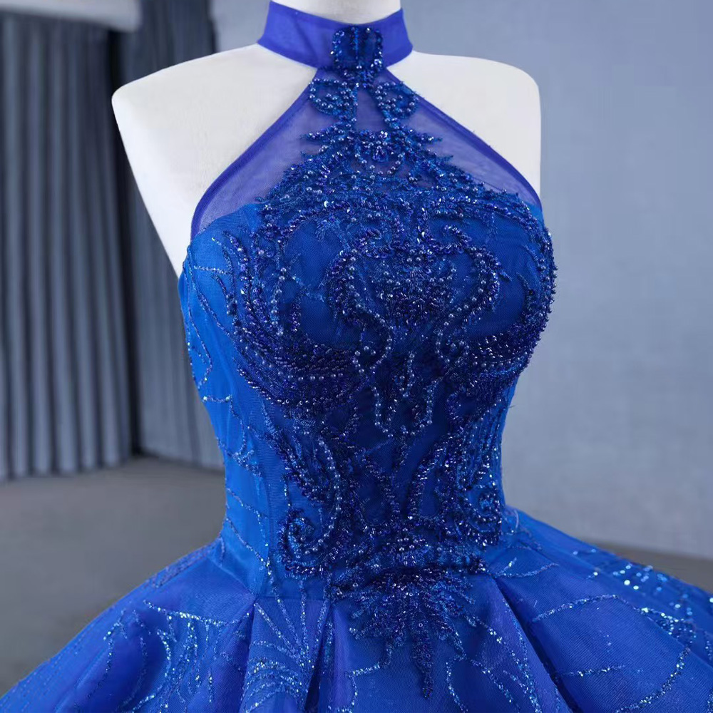 Blue Halter Sleeveless Evening – Embroidery Organza Bewertung und Preis