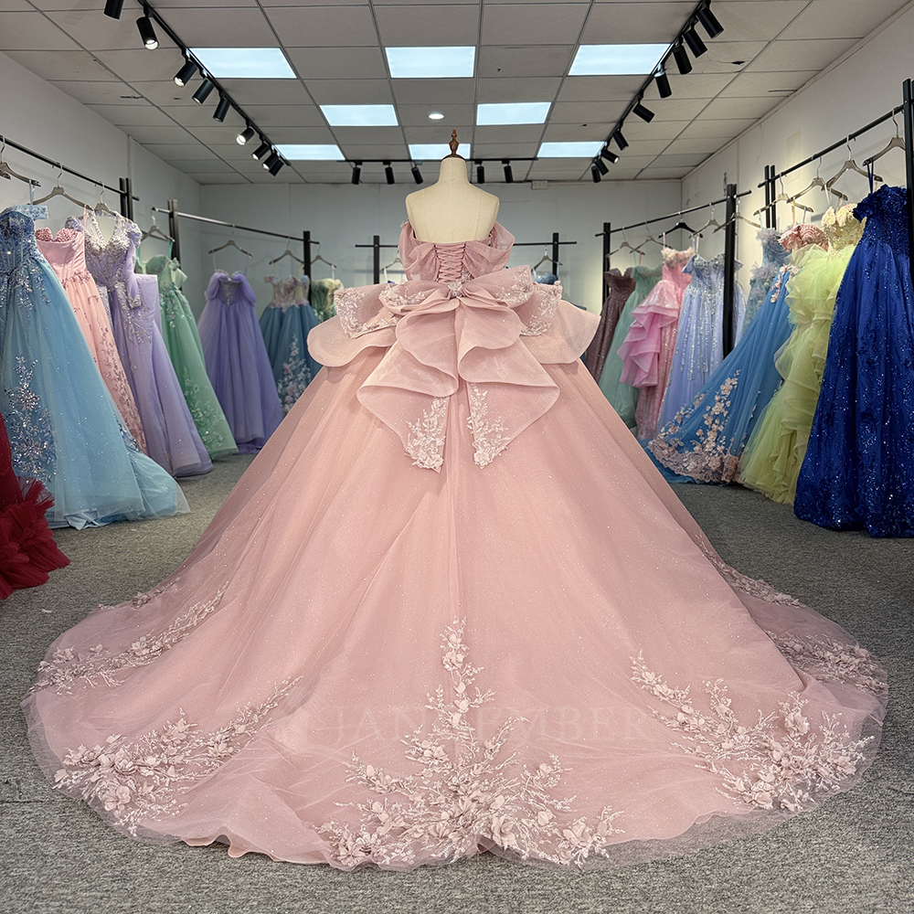 Pink Princess Ball Gown Quince – Embroidery Organza Bewertung und Preis