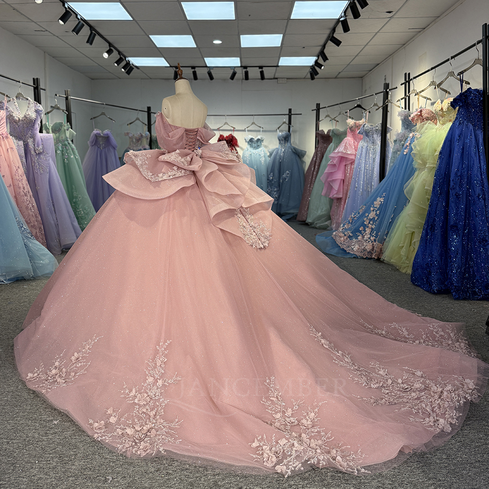 Pink Princess Ball Gown Quince – Embroidery Organza Bewertung und Preis