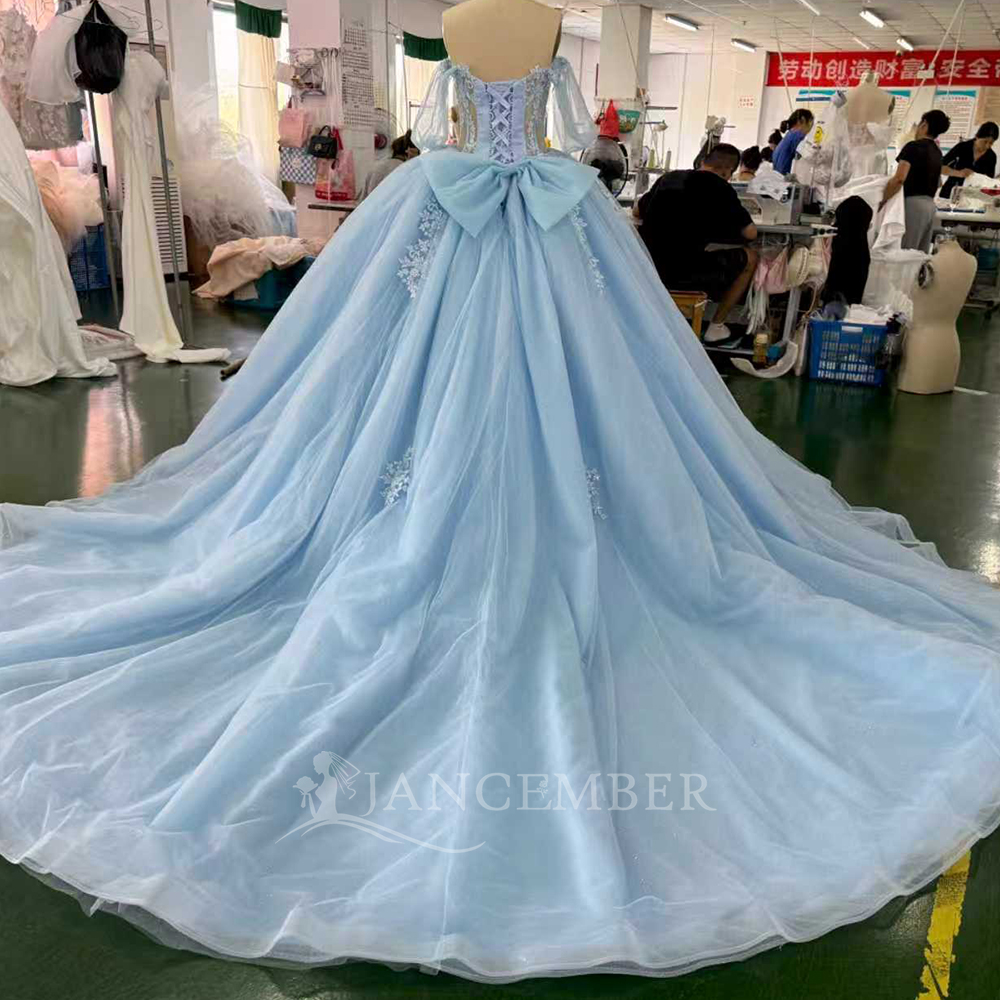 Blue Princess Ball Gown Quince – Embroidery Organza Bewertung und Preis