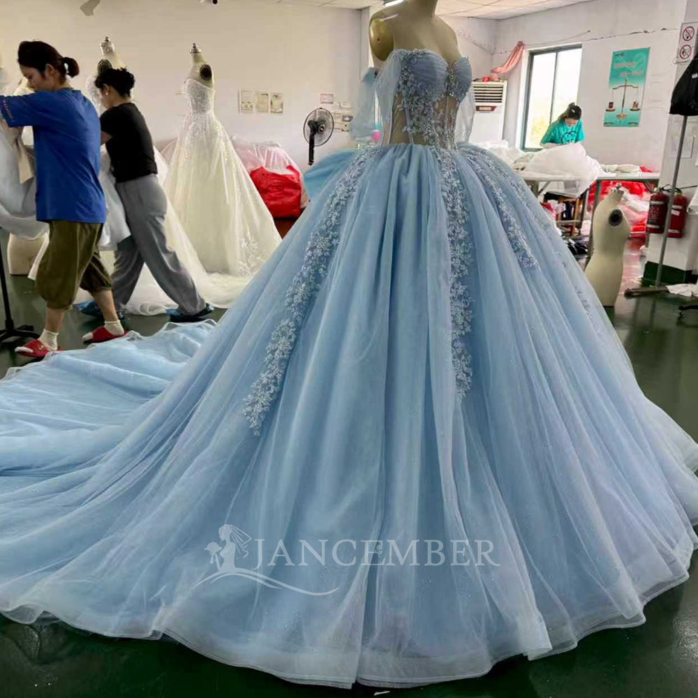 Blue Princess Ball Gown Quince – Embroidery Organza Bewertung und Preis