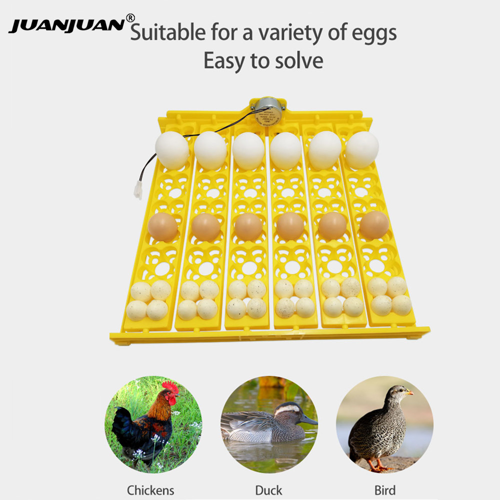 24 Eggs Tray Incubator Turner  – Embroidery Egg Bewertung und Preis