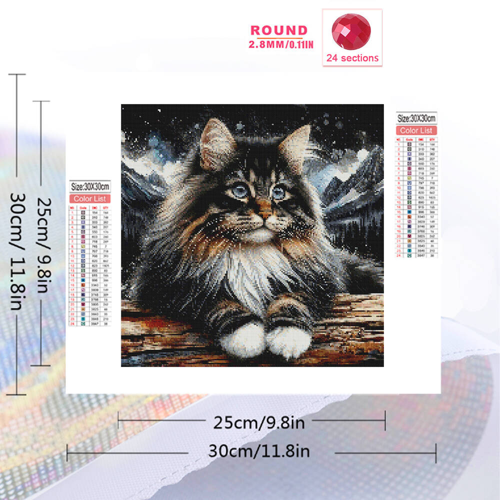 1pc frameless  5D DIY Diamond  – Embroidery Kit Set Bewertung und Preis