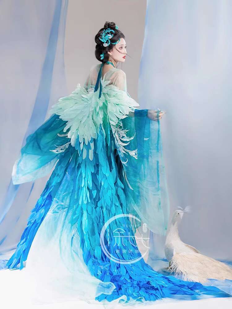 New Peacock Hanfu Womens fashi – Embroidery Knit Bewertung und Preis