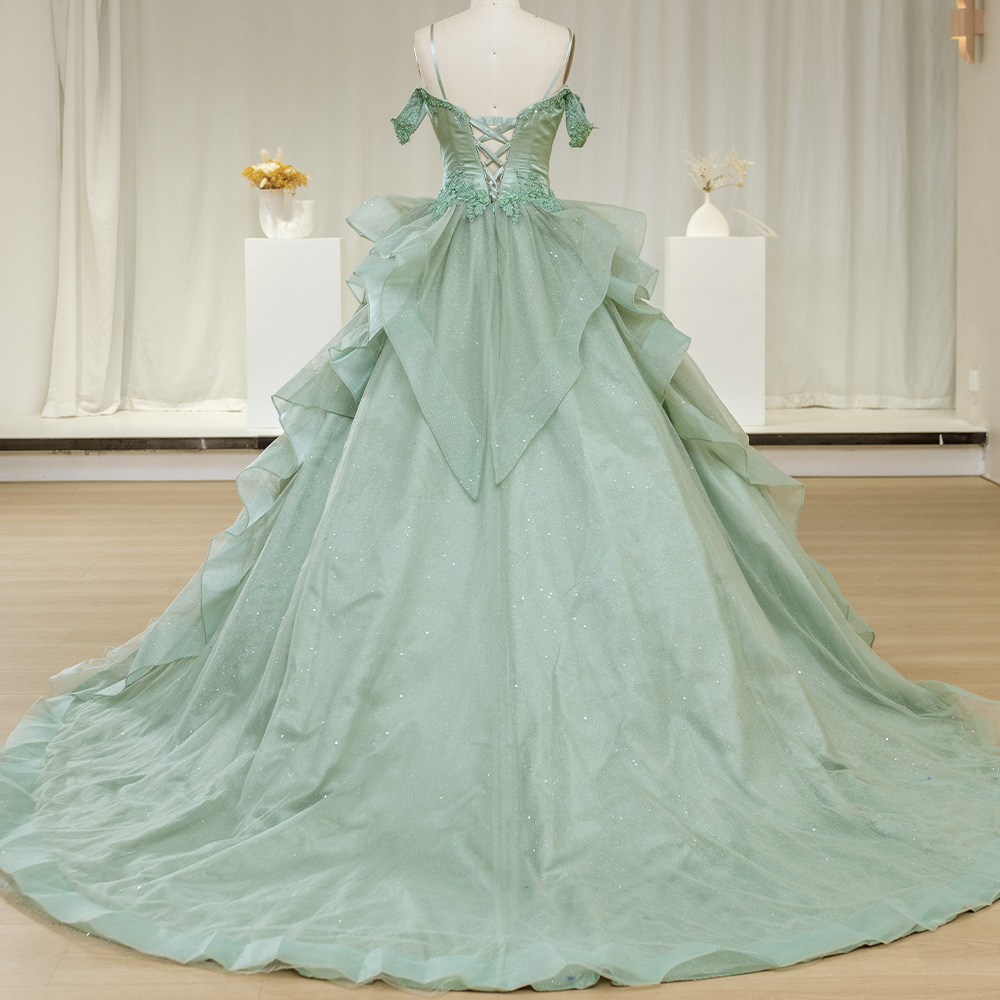 Green 2024 Quinceanera Dresses – Embroidery Organza Bewertung und Preis