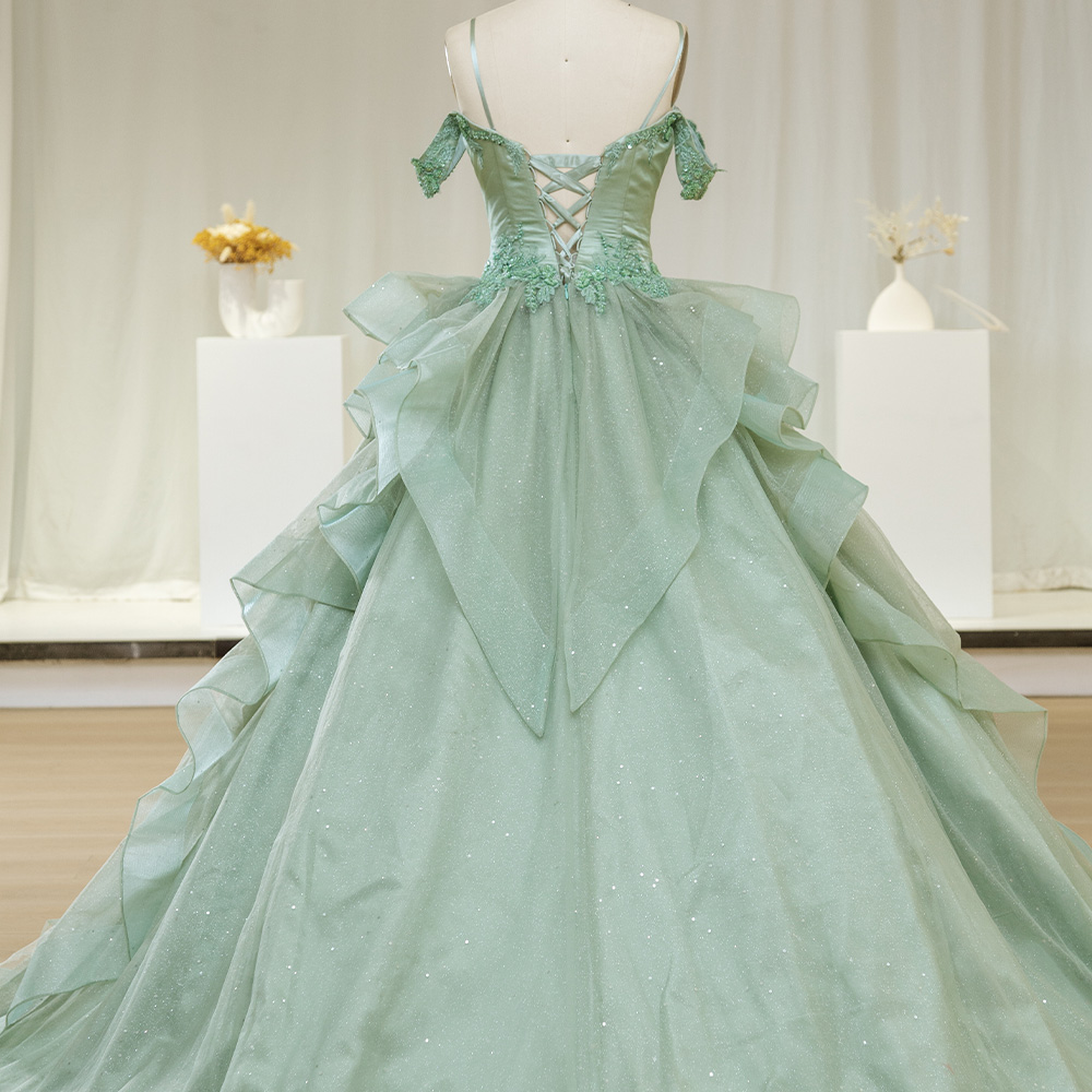 Green 2024 Quinceanera Dresses – Embroidery Organza Bewertung und Preis