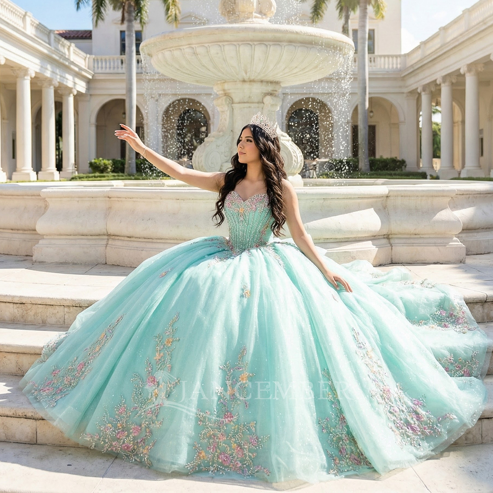 Classic Strapless Quinceanera  – Embroidery Organza Bewertung und Preis