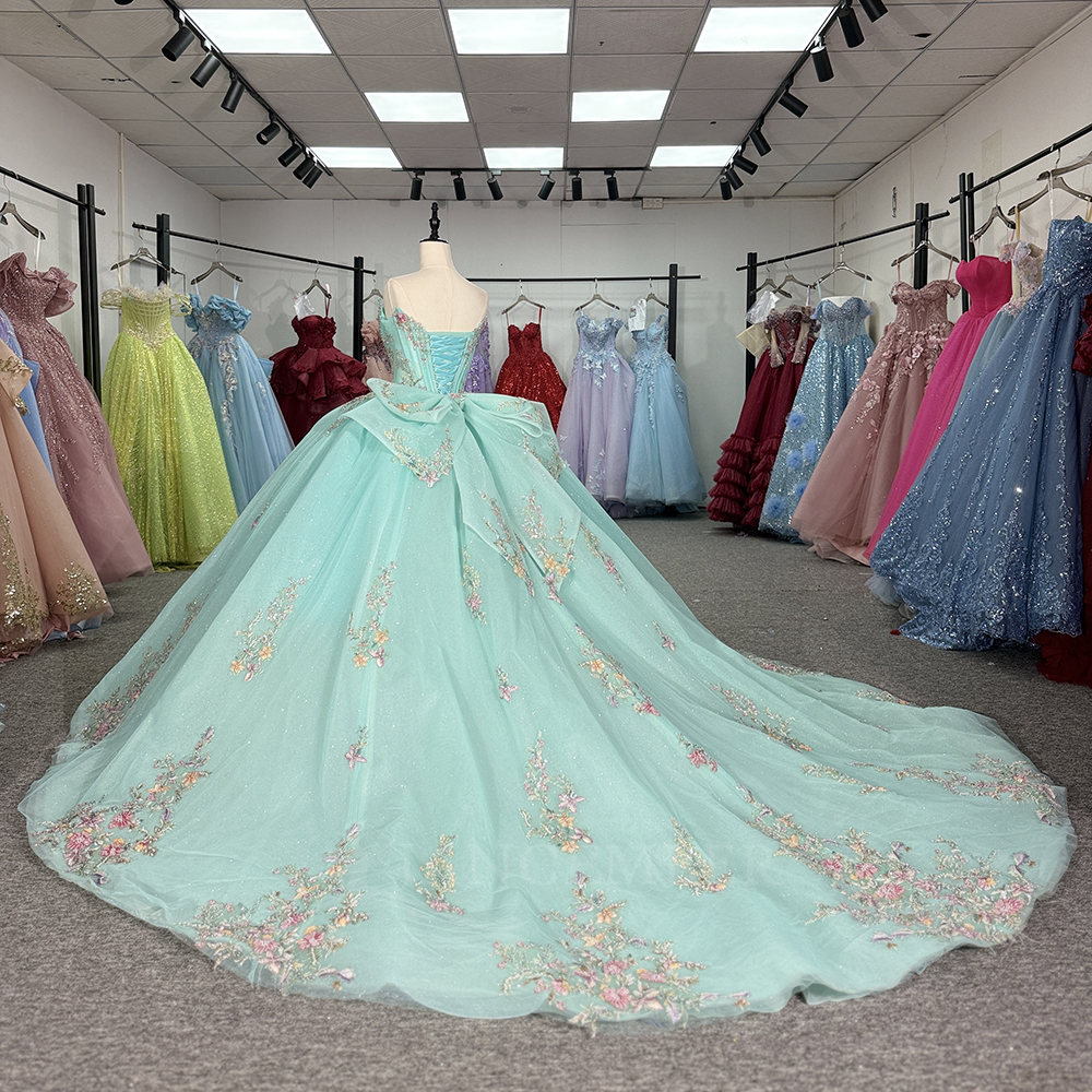 Classic Strapless Quinceanera  – Embroidery Organza Bewertung und Preis